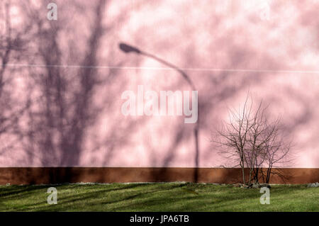 Symbole / Concepts, ombre des arbres sur le mur Banque D'Images