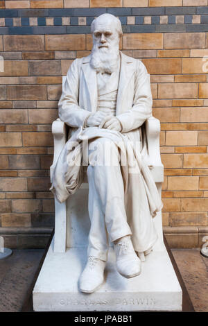 L'Angleterre, Londres, Musée d'Histoire Naturelle, de la statue de Charles Darwin Banque D'Images