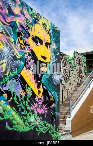 Les graffitis, Wynwood Art District, Miami, Floride, USA Banque D'Images