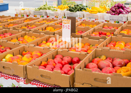 Différentes variétés de tomates rouges mûries, Heirloom local de tomates et d'autres produits pour la vente à Sébastopol Farmer's Market, dans le Comté de Sonoma, en Californie. Banque D'Images