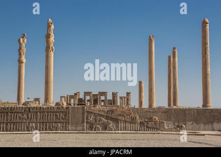 L'Iran, Persépolis Ville, ruines de Persépolis, de secours à l'Apadana Apadana Palace, escalier Banque D'Images