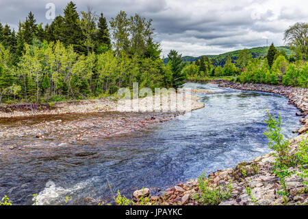 La rivière Petit Saguenay au Québec, Canada au cours de l'été vert vif avec curve Banque D'Images