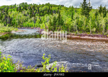 La rivière Petit Saguenay au Québec, Canada au cours de l'été vert vif avec curve Banque D'Images