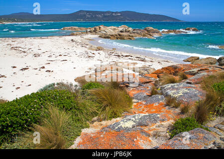 Killiecrankie Bay sur l'Île Flinders Banque D'Images