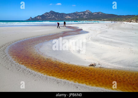Les randonneurs sur la baie de Killiecrankie, Flinders Island Banque D'Images