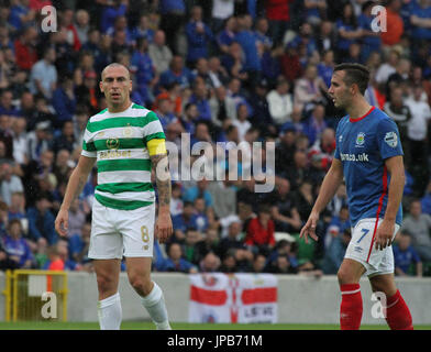 Windsor Road, Belfast, Irlande du Nord. 14 juillet. Linfield 0 Celtic 2. Scott Brown du Celtic (8) en action. Banque D'Images