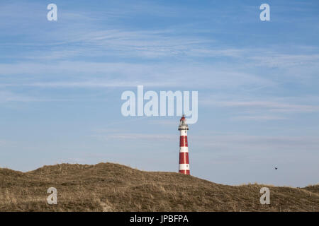 Le phare sur l'île Ameland Banque D'Images