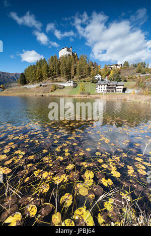 Les feuilles d'automne tombées dans le lac du châssis de l'ancien Château de Tarasp district Inn Canton des Grisons Engadine Suisse Europe Banque D'Images