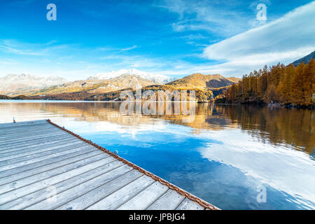 Bois coloré reflété dans le bleu du Lac de Sils en automne Plaun da Lej Haute Engadine Canton des Grisons Suisse Europe Banque D'Images