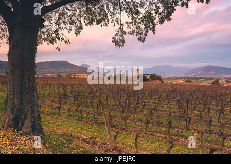 La Franciacorta, province de Brescia, Lombardie, Italie, district de l'Europe. Banque D'Images