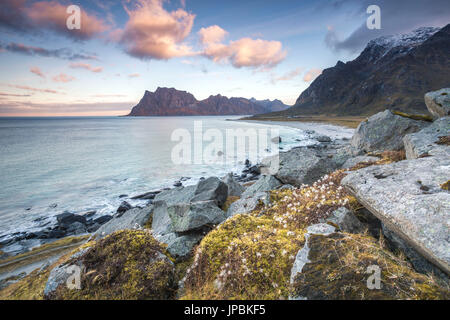 Uttakleiv beach, îles Lofoten, Norvège Banque D'Images