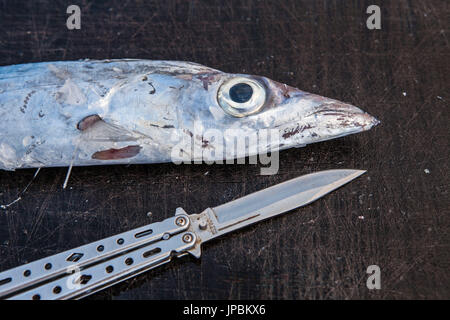 Le poisson frais sur une table en bois contexte l'alimentation saine et typique de la cuisine locale Sicile Italie Europe Banque D'Images