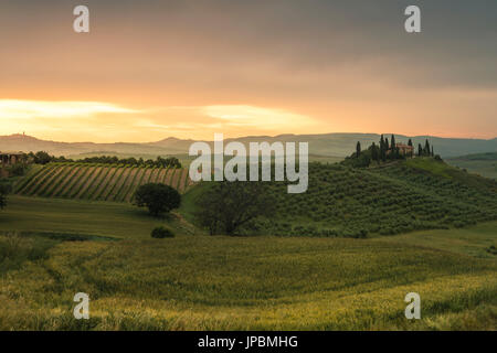 Lever du soleil sur les douces collines du Val d'Orcia province de Sienne Toscane Italie Europe Banque D'Images