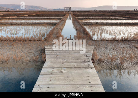 L'Europe, la Slovénie, l'Istrie. Parc naturel de l'Sečovlje Salina Banque D'Images