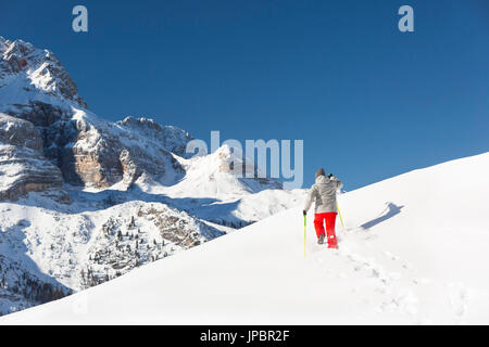 Une randonnée d'hiver dans la neige fraîche avec une belle présentation comme l'dolomitique Croda Rossa d'Ampezzo, la province de Bolzano, le Tyrol du sud, Trentin-Haut-Adige, Italie, Europe Banque D'Images