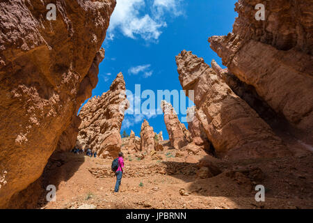 Randonnée femme sur Wall Street article de Navajo Loop Trail. Le Parc National de Bryce Canyon, Garfield County, Utah, USA. Banque D'Images