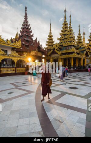 Yangon, Myanmar (Birmanie). Vieux moine marchant dans la pagode Shwedagon au lever du soleil. Banque D'Images