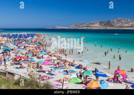 Baigneurs dans la mer turquoise, plage de La Pelosa Stintino Parc National d'Asinara, Province de Sassari Sardaigne Italie Europe Banque D'Images