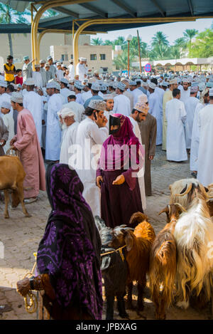 Nizwa, Sultanat d'Oman, au Moyen-Orient. Marché de l'animal. Banque D'Images