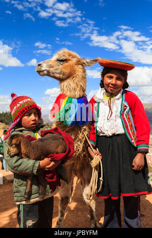 Enfants et de lamas à Cuzco, Pérou, Amérique du Sud. Banque D'Images