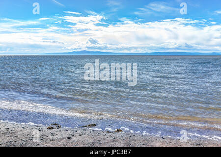 Gros plan du fleuve Saint-Laurent Rocky beach au Québec, Canada Banque D'Images