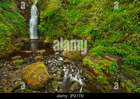 Les recoins Falls près de Carnlough en Irlande du Nord. Banque D'Images