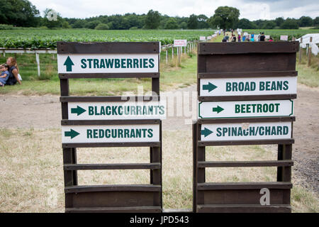 Des panneaux indiquant cueillette des fruits à Parkside Farm, Enfield, au nord de Londres Banque D'Images