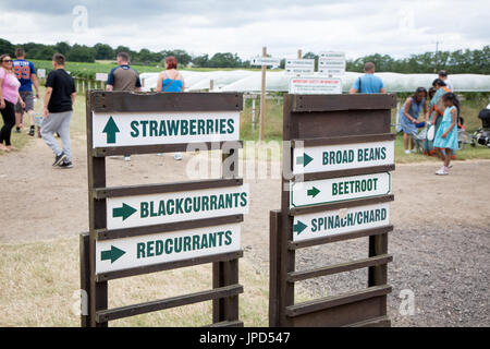 Des panneaux indiquant cueillette des fruits à Parkside Farm, Enfield, au nord de Londres Banque D'Images