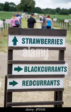 Des panneaux indiquant cueillette des fruits à Parkside Farm, Enfield, au nord de Londres Banque D'Images