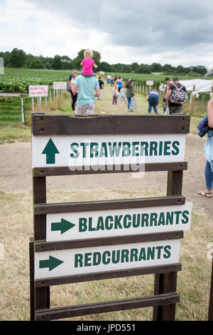 Des panneaux indiquant cueillette des fruits à Parkside Farm, Enfield, au nord de Londres Banque D'Images