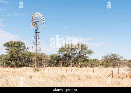 Une scène de ferme avec de l'eau - pompant moulin sur le B1-route entre Okahandja Otjiwarongo et dans la région de Namibie Otjozondjupa Banque D'Images