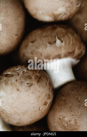 Plan Macro sur des champignons portobello Banque D'Images