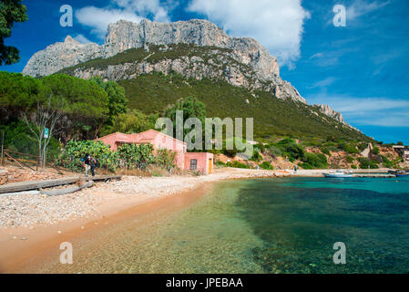 L'île de Tavolara, Olbia tempio province, Sardaigne, Italie, Europe. Banque D'Images