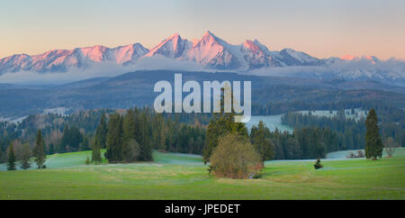 Tatra, illuminé par le soleil du matin. Arbres de Noël en vallée sur fond des sommets enneigés. Banque D'Images