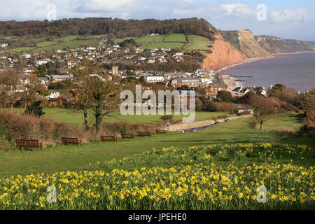 La ville pittoresque de Sidmouth dans le Devon jouit de soleil printemps glorieux Banque D'Images