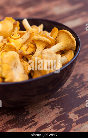 Chanterelles champignons. Champignons crus frais Chanterelle Dans un bol sur le vieux bois peint le tableau. Vue d'en haut. Banque D'Images