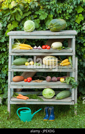 Les légumes frais biologiques sur le vieux bâtiment de bois à l'extérieur de l'échelle. Arrosoir et Bottes enfants sur l'herbe près de l'échelle en bois avec des légumes. Comp Banque D'Images