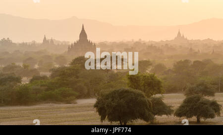 Vue du Temple de Phythada au coucher du soleil Banque D'Images