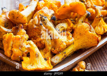 Fraîchement cueillis, chanterelles champignons jaunes comestibles Banque D'Images