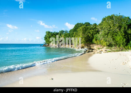 Plage tropicale avec de l'eau turquoise sur Marie-Galante, Guadeloupe Banque D'Images