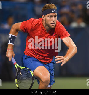 Washington, D.C., USA. 1er août 2017. JACK SOCK se précipite le net au cours de son deuxième tour à l'Open de Citi au Rock Creek Park Tennis Center à Washington, DC Crédit : Kyle Gustafson/ZUMA/Alamy Fil Live News Banque D'Images