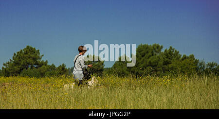 Une personne marche à travers un champ de fleurs jaune or avec un grand chien blanc et un beau ciel bleu clair. Banque D'Images