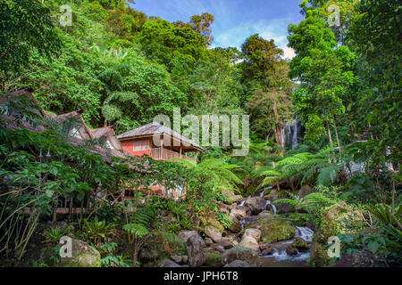 Ruisseau, cascade et la nuit au gîte d'un PATA-Mountain Resort à mercie, Negros occidental aux Philippines, de l'île. Banque D'Images