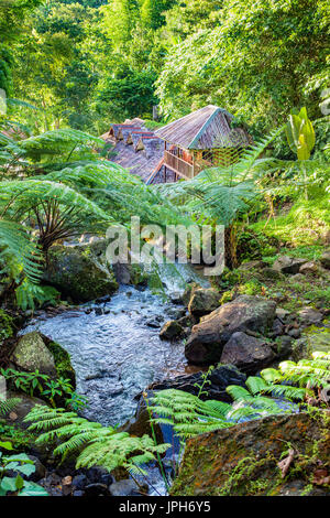 Stream et nuit cottages au PATA-un Mountain Resort à mercie, Negros occidental, aux Philippines. Banque D'Images