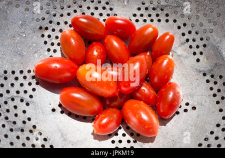 Chérubin tomates, juste rincés dans une passoire Banque D'Images