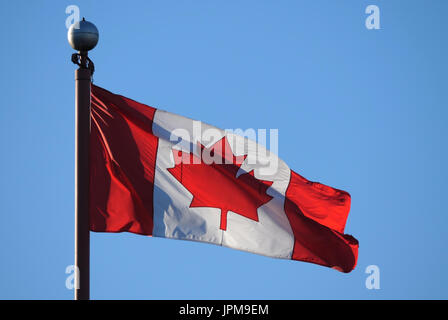 En agitant le drapeau canadien contre le ciel bleu pour célébrer les 150 ans du Canada Banque D'Images