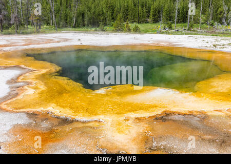 Piscine d'emeraude hot springs au bassin de sable noir dans le Parc National de Yellowstone, Wyoming. Banque D'Images