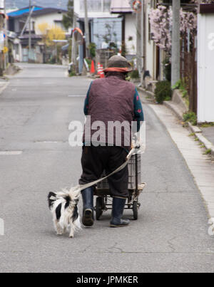 Close up of an elderly Japanese woman walking un chien noir et blanc moelleux et en poussant un chariot chargé vers le bas une rue vide dans un secteur résidentiel au Japon Banque D'Images