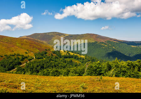 Colline herbeuse de crête de montagne. beau temps avec ciel bleu et quelques nuages. joli paysage d'été Banque D'Images