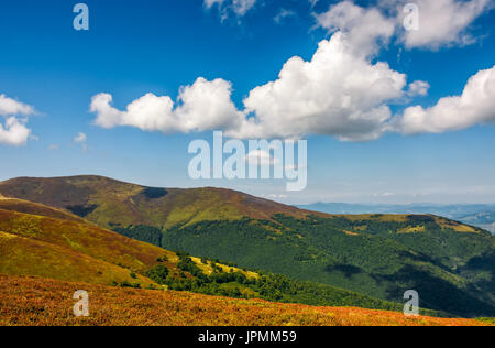 Colline herbeuse de crête de montagne. beau temps avec ciel bleu et quelques nuages. joli paysage d'été Banque D'Images